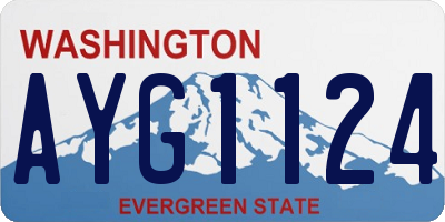WA license plate AYG1124