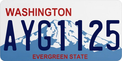 WA license plate AYG1125