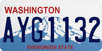 WA license plate AYG1132