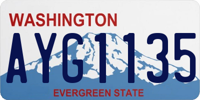 WA license plate AYG1135