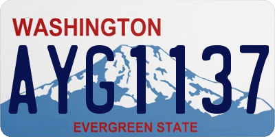 WA license plate AYG1137