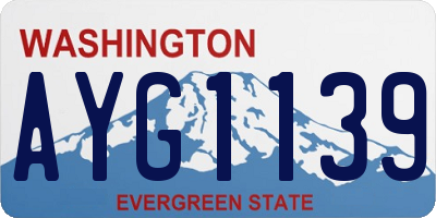 WA license plate AYG1139