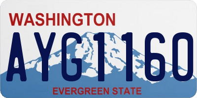 WA license plate AYG1160