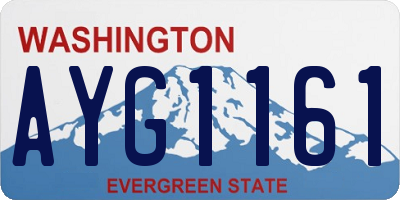 WA license plate AYG1161