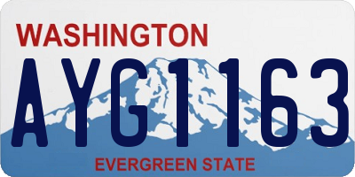 WA license plate AYG1163