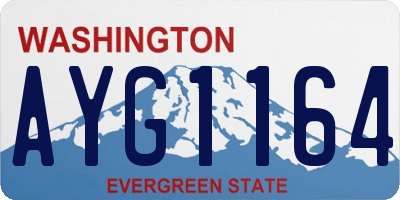 WA license plate AYG1164
