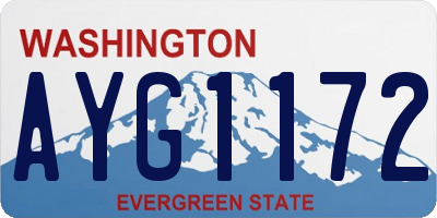 WA license plate AYG1172