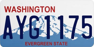 WA license plate AYG1175