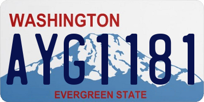 WA license plate AYG1181