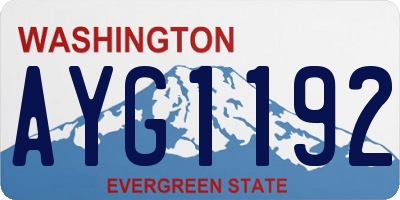 WA license plate AYG1192