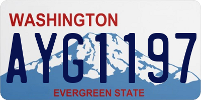WA license plate AYG1197