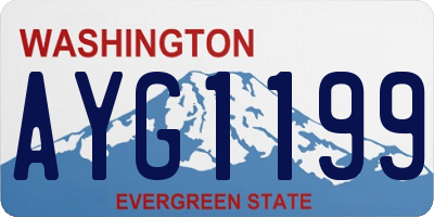 WA license plate AYG1199