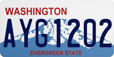 WA license plate AYG1202