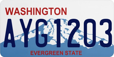 WA license plate AYG1203