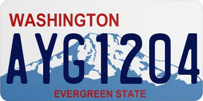 WA license plate AYG1204
