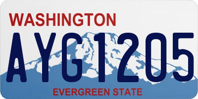 WA license plate AYG1205
