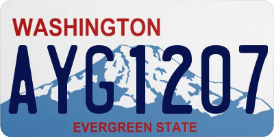 WA license plate AYG1207