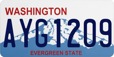WA license plate AYG1209