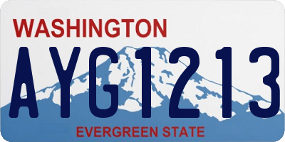 WA license plate AYG1213