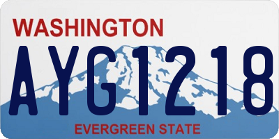 WA license plate AYG1218
