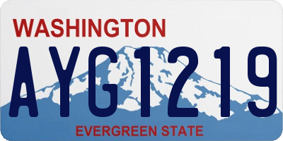 WA license plate AYG1219
