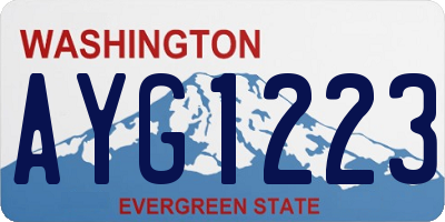 WA license plate AYG1223