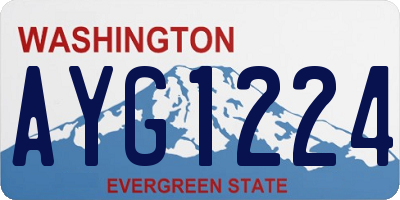 WA license plate AYG1224