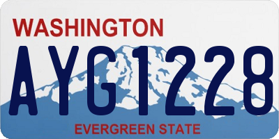 WA license plate AYG1228