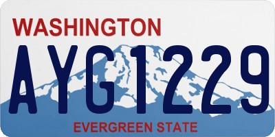 WA license plate AYG1229