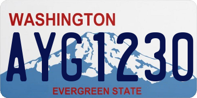 WA license plate AYG1230