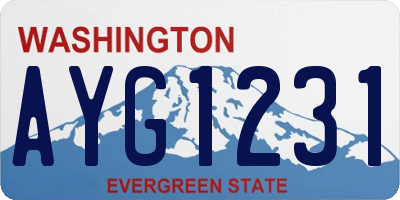 WA license plate AYG1231