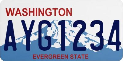 WA license plate AYG1234