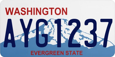 WA license plate AYG1237