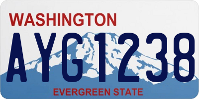 WA license plate AYG1238