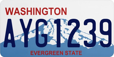 WA license plate AYG1239