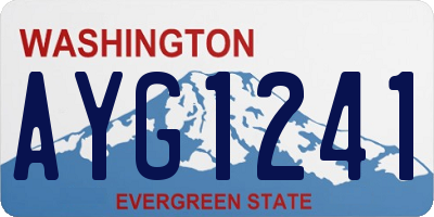 WA license plate AYG1241