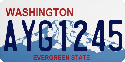 WA license plate AYG1245