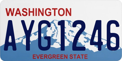 WA license plate AYG1246