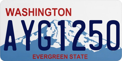 WA license plate AYG1250
