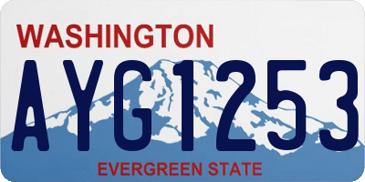 WA license plate AYG1253