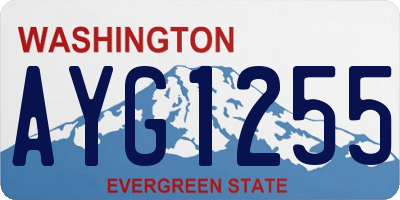 WA license plate AYG1255
