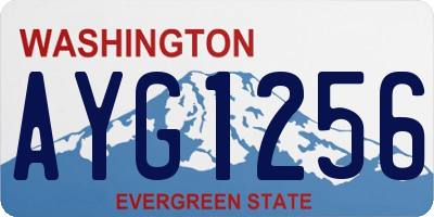 WA license plate AYG1256