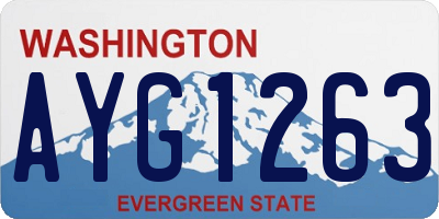 WA license plate AYG1263