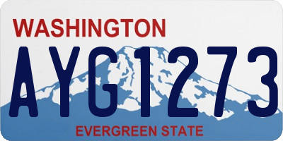 WA license plate AYG1273