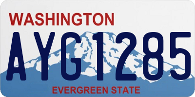 WA license plate AYG1285