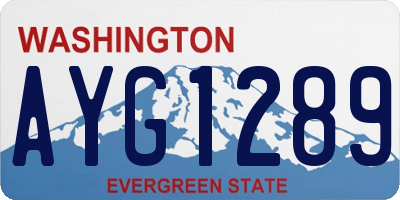 WA license plate AYG1289