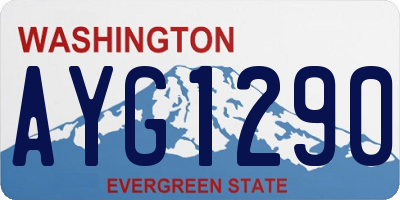 WA license plate AYG1290