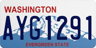 WA license plate AYG1291