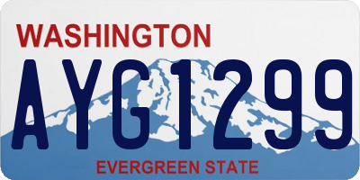 WA license plate AYG1299