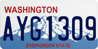 WA license plate AYG1309